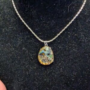 Abalone Shell Teardrop Pendant Necklace - Silver #42
